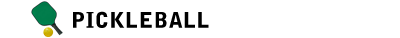 Networkers plays in a Pickleball league